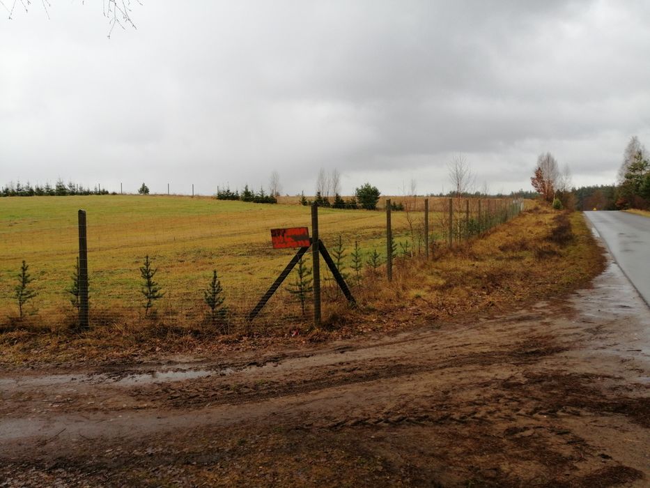 Działka w Borach Tucholskich z warunkami zabudowy