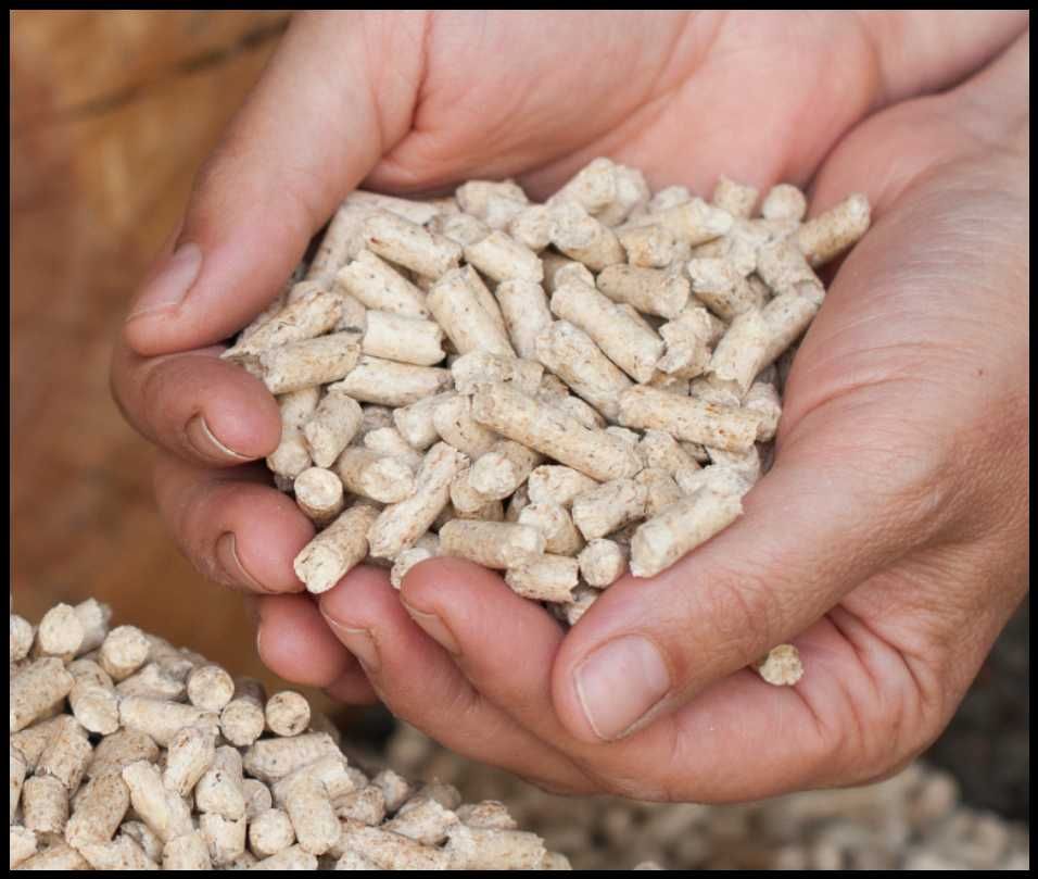 Certyfikowany Pelet Pellet Drzewny “Pelleton” A1 EN Plus