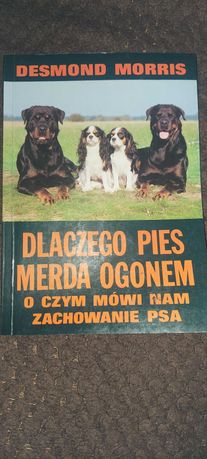 Książki o naszych pupilach psach