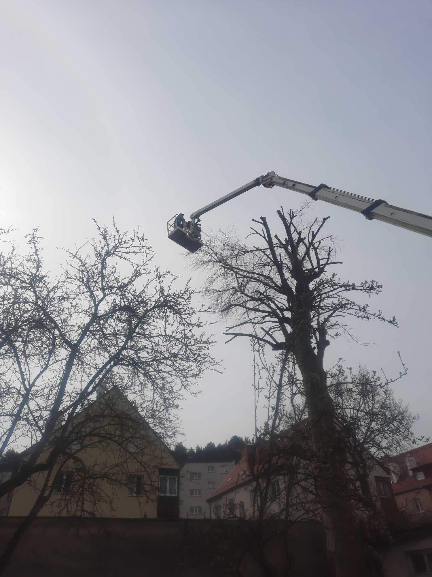 Wycinka drzew karczowanie niewelacja terenu trawniki, wyburzanie