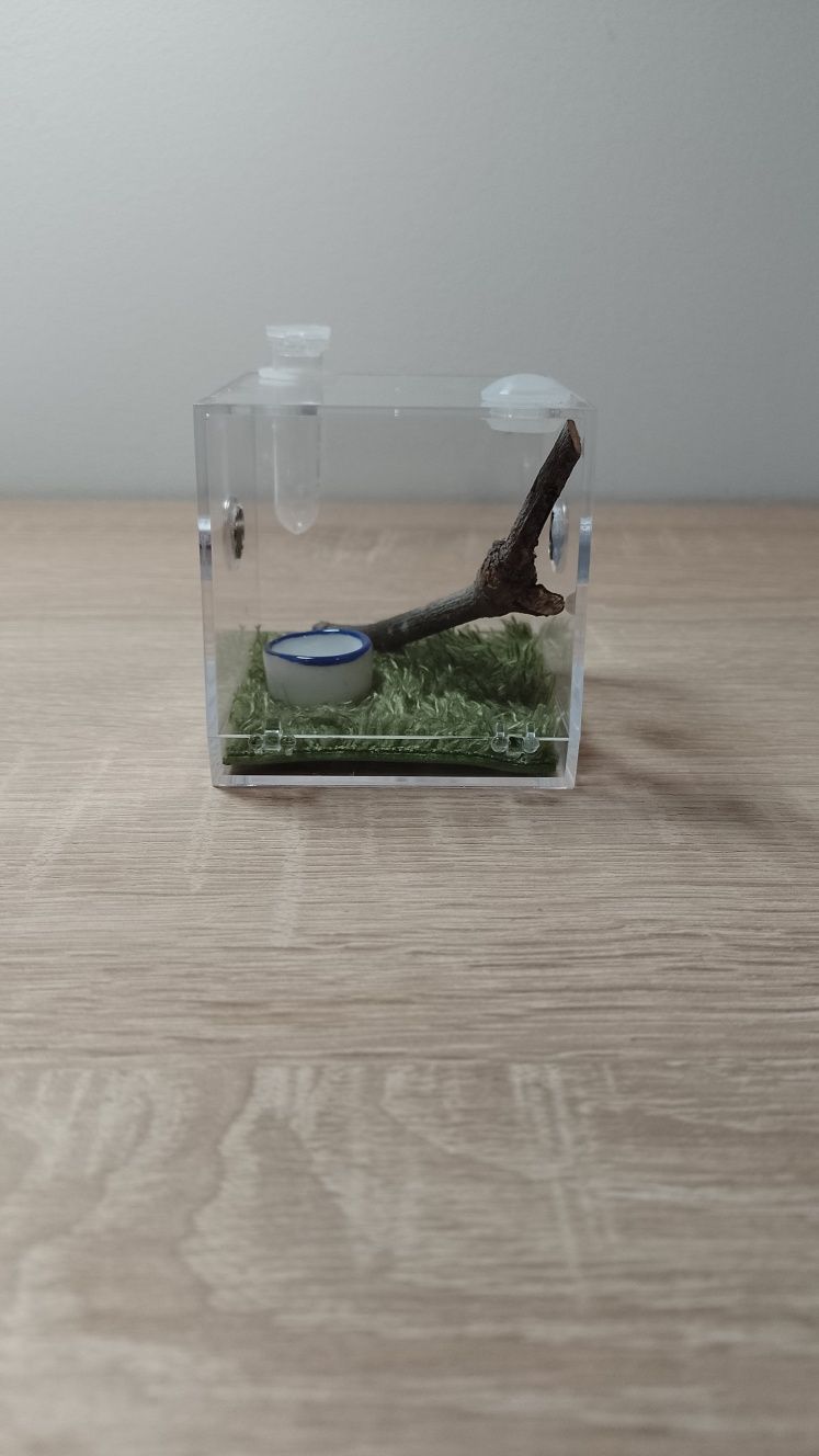 Mini terrarium z wystrojem dla małych pająków - ostatnie sztuki