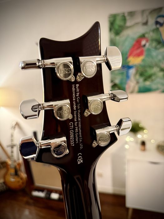 PRS SE DGT Gold Top – David Grissom Signature c/ Upgrades