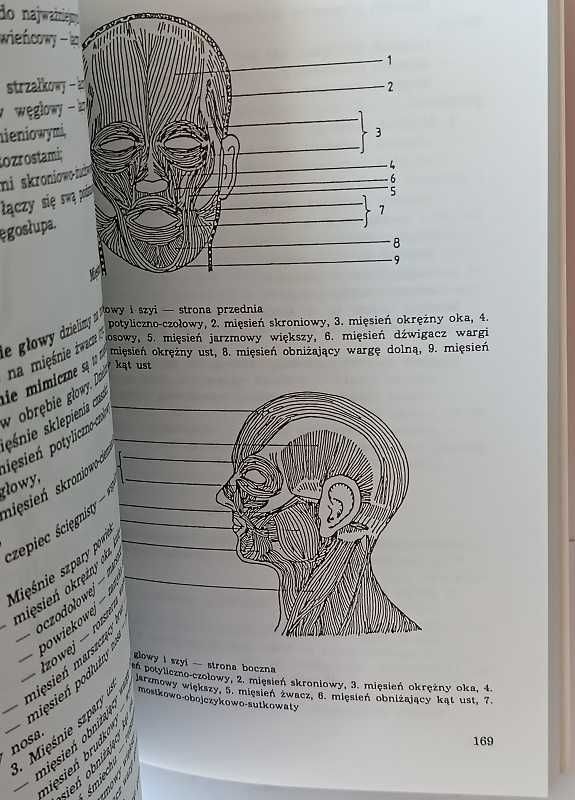 Klasyczny masaż leczniczy. Teoria i praktyka automasaż-Magiera L.