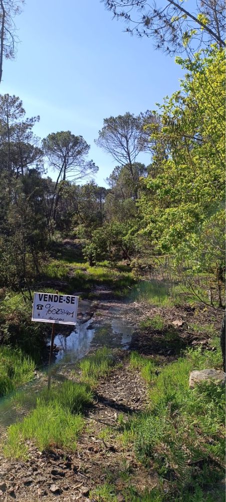 Terreno de mata