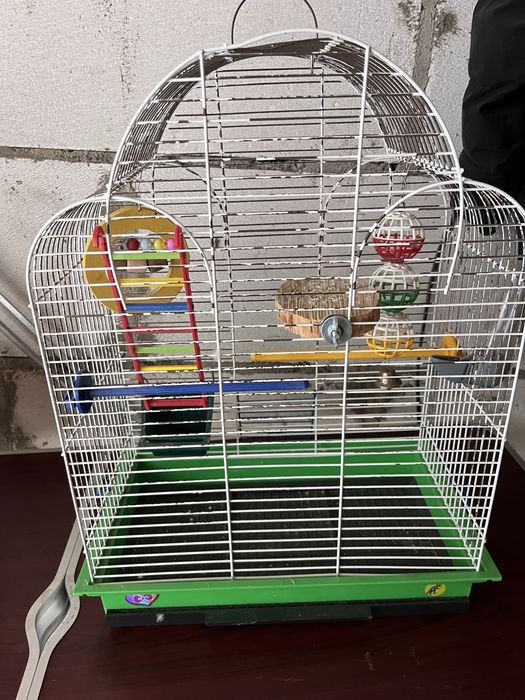 Клітка для папуги з усім наповненням