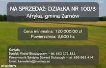 Syndyk sprzeda działkę w gminie Żarnów