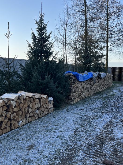 Drewno kominkowe opalowe sosna/dab/buk/jesion/brzoza/owocowe