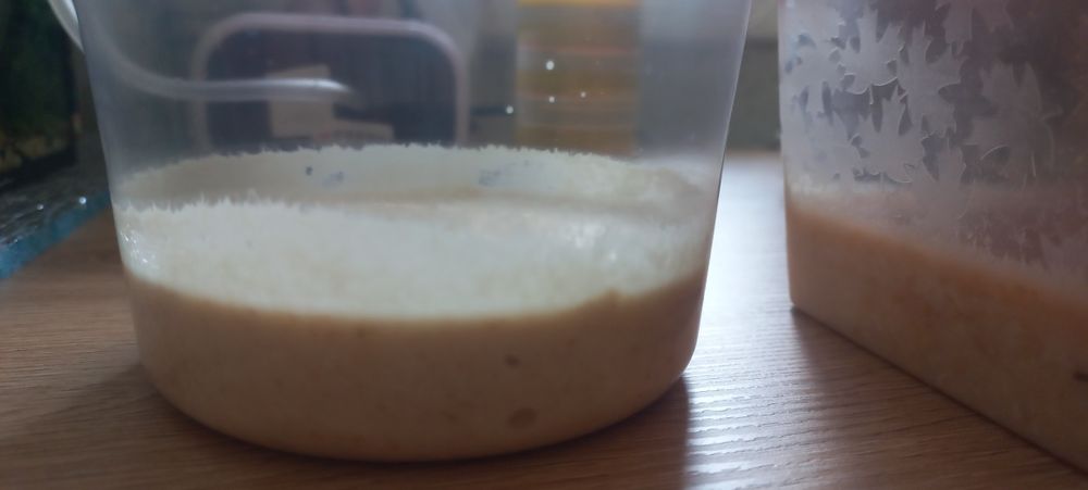 Porcja zarodowa nicienie micro