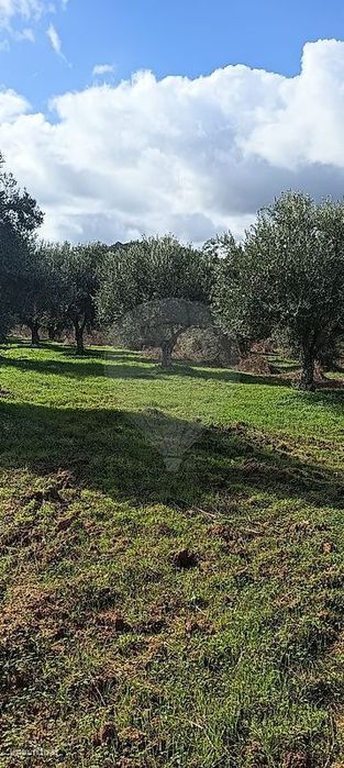 Terreno  para venda