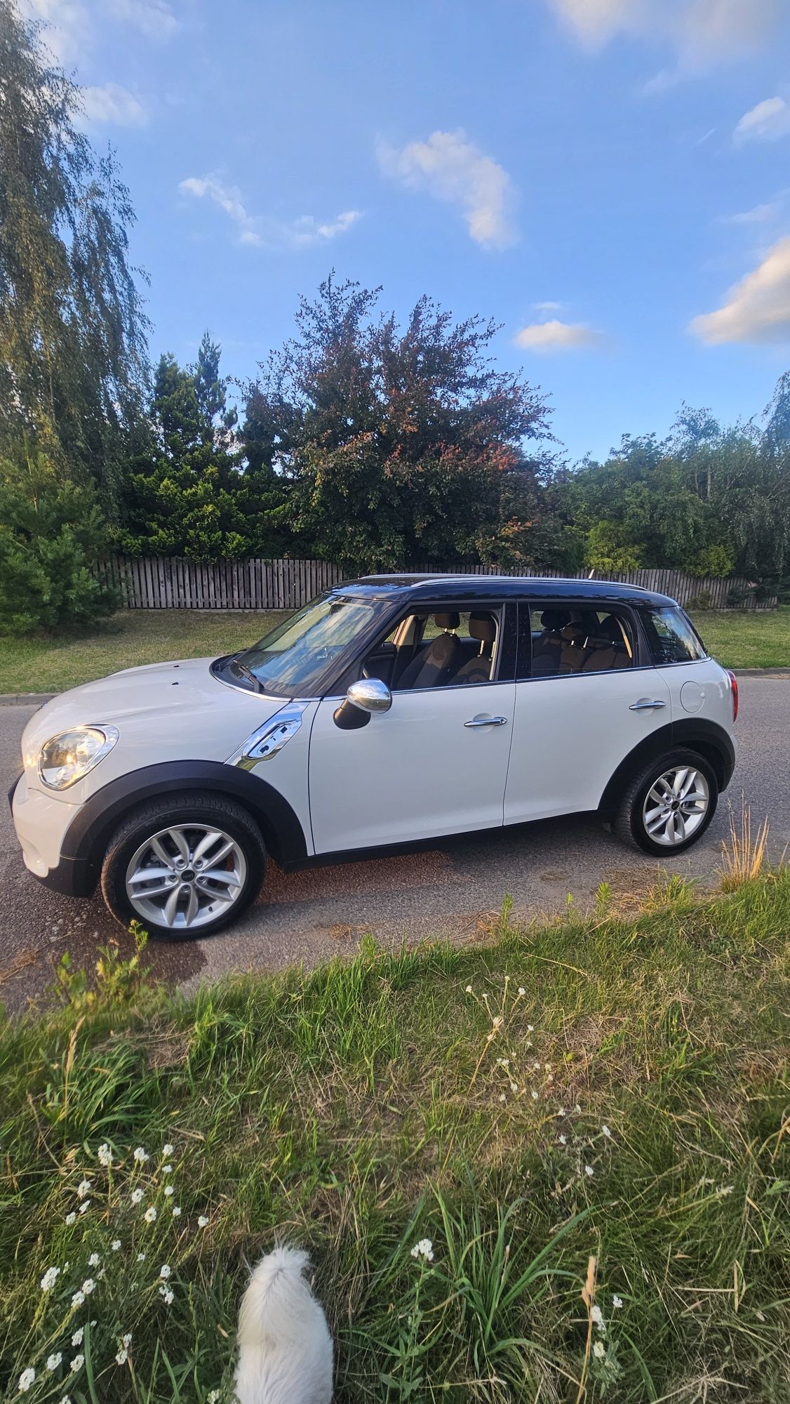 MINI Countryman – świetny stan, zadbany, gotowy do jazdy!