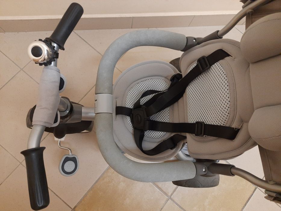 Rowerek trójkołowy SUN BABY Little Tiger