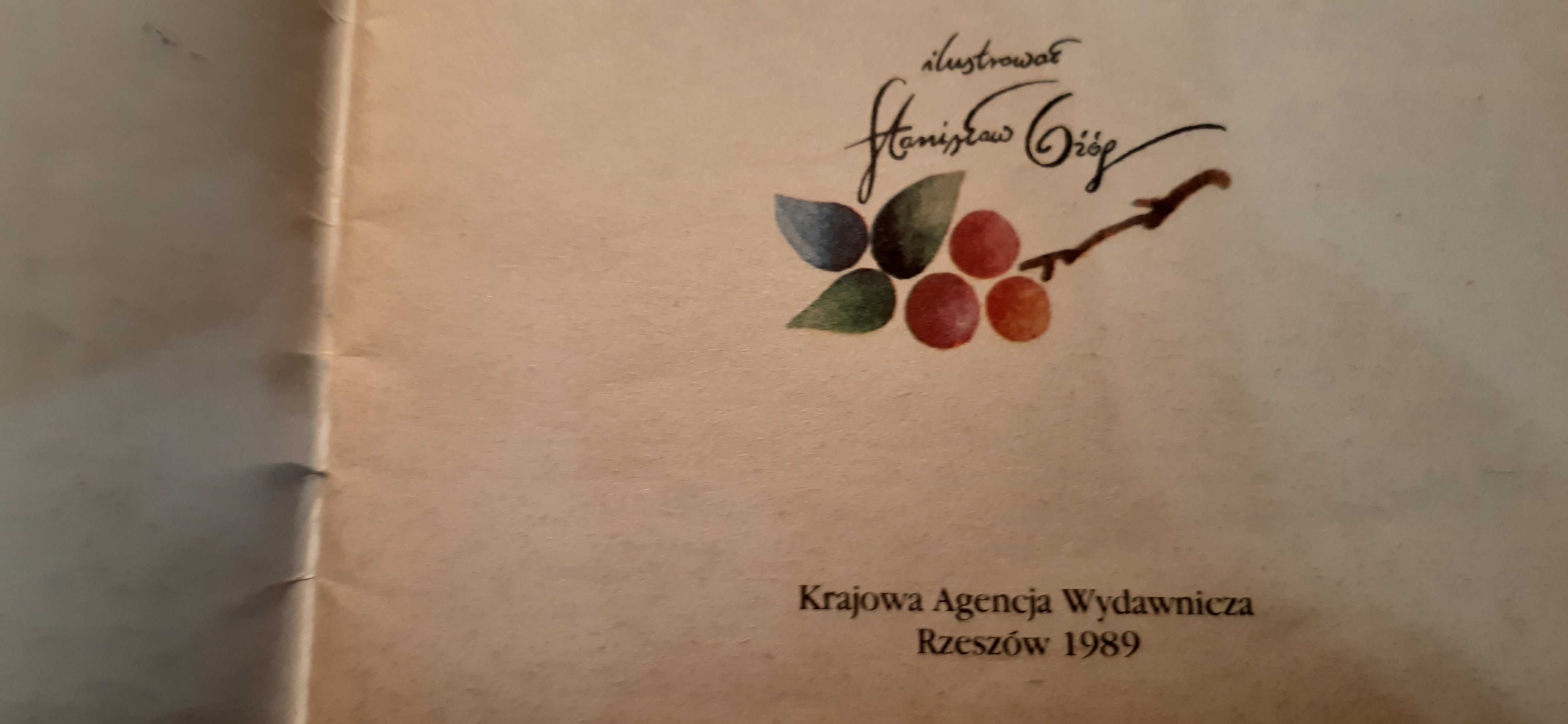 Przygody skrzata Wiercipiętka - Andrzej Grabowski