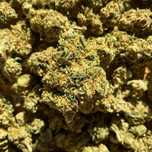Susz konopny CBD/CBG, kwiaty CBG Premium – CBG Ciężki Biały Głaz