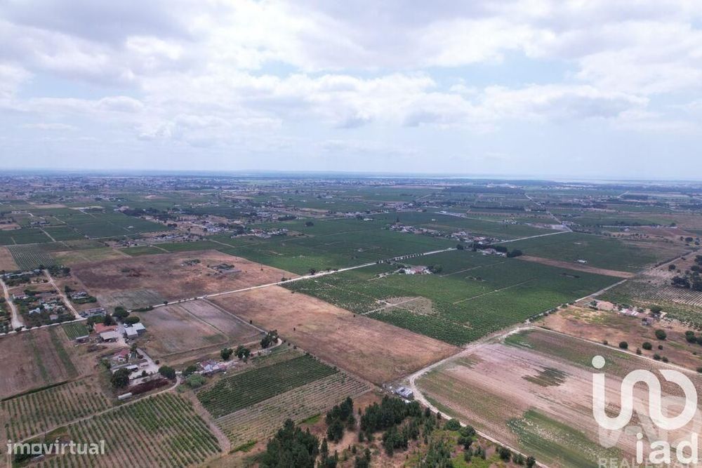 Terreno em Palmela