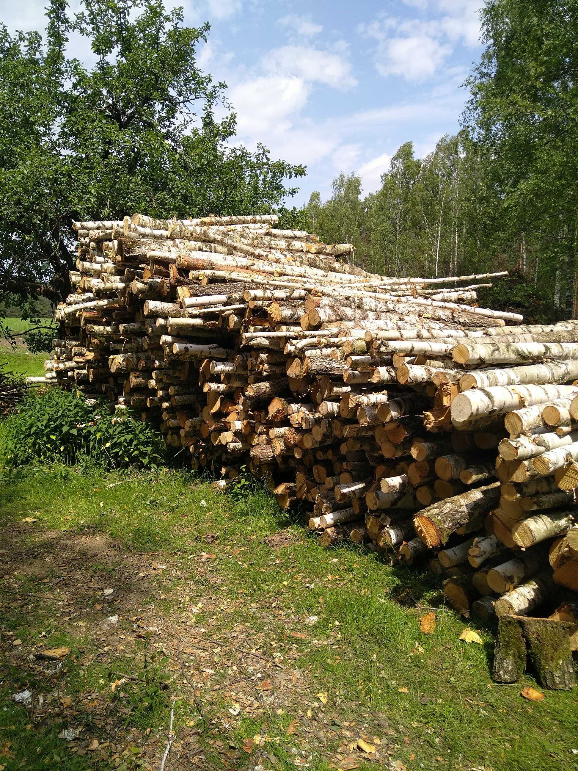 Drewno opałowe - brzoza balach