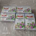 Herbata ostropest- 5 szt - 10 zl
