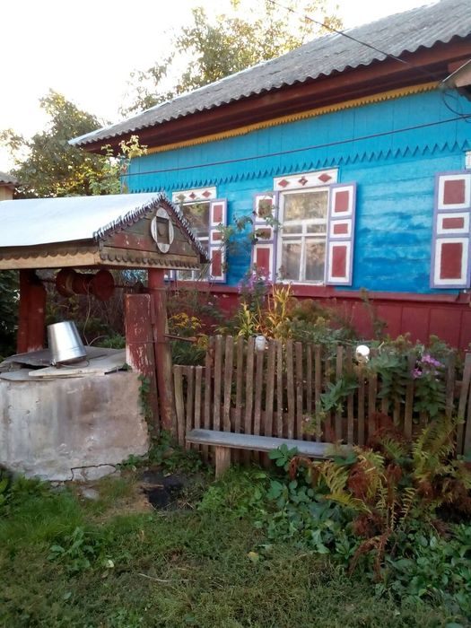 Продам будинок в селі Кобижча Чернігівської області