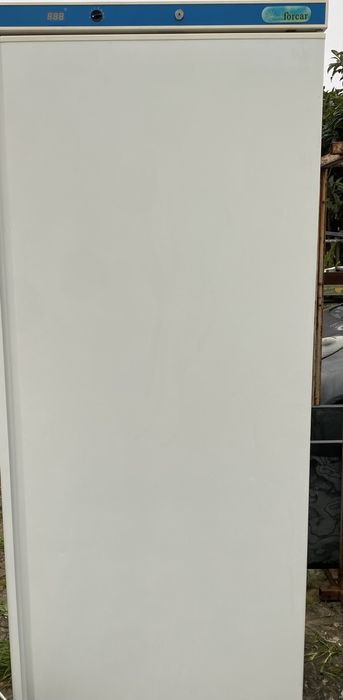 Frigorifico vertical industrial 550 Lt