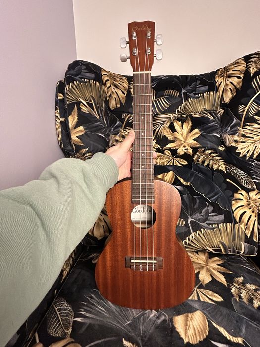 Ukulele Cordoba Up100