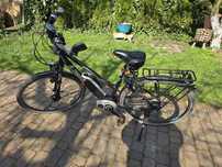 Rower e bike Pegasus premio e 8