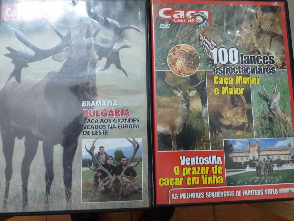 DVDs de filmes de caça grossa javalis e outros