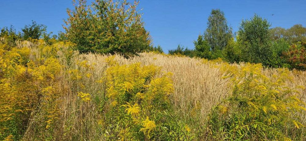 Продаж двох суміжних ділянок в Брюховичах, ліс, чудовий краєвид !