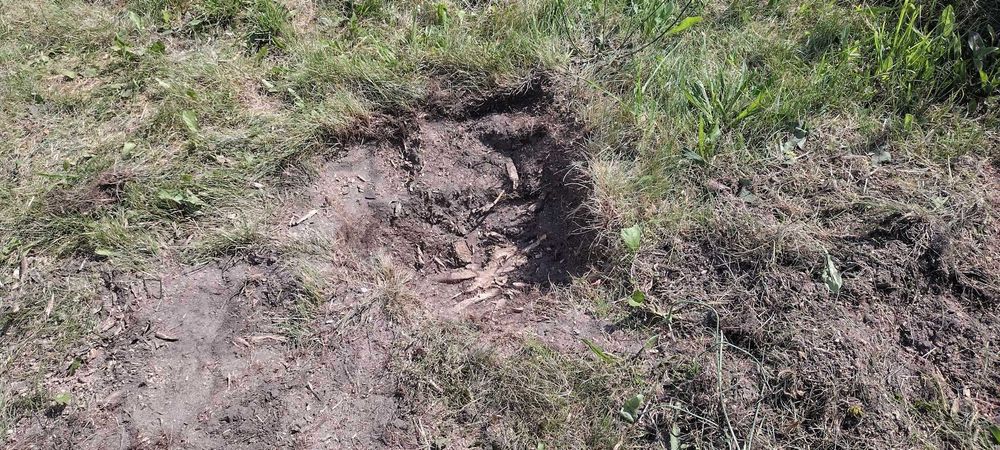 Usuwanie pni Frezowanie pni