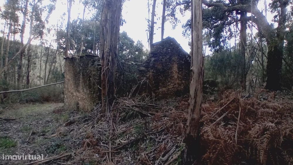 Ruína para Recuperar com Terrenos – Casal Agostinho Alves, Alvaiázere