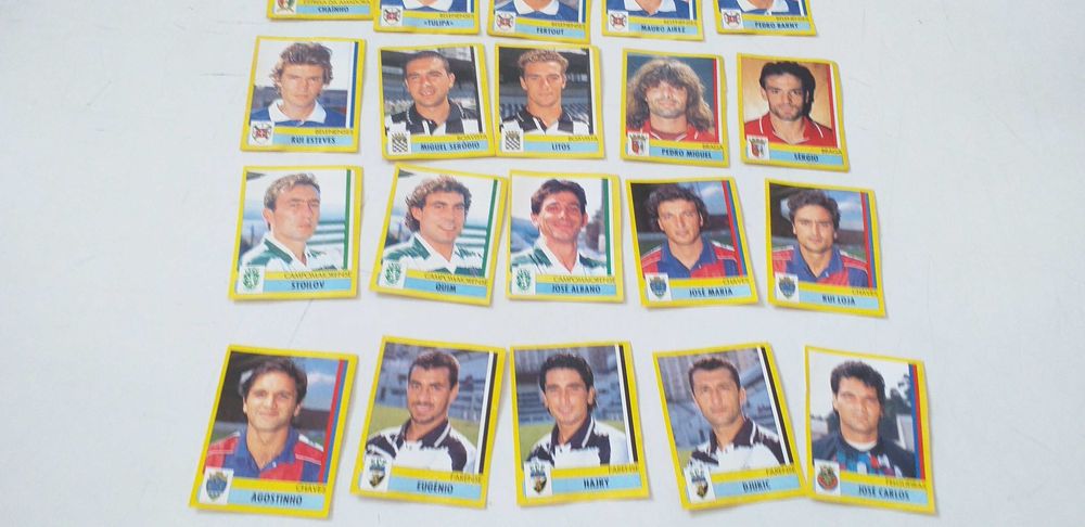 Panini 95/96                        .