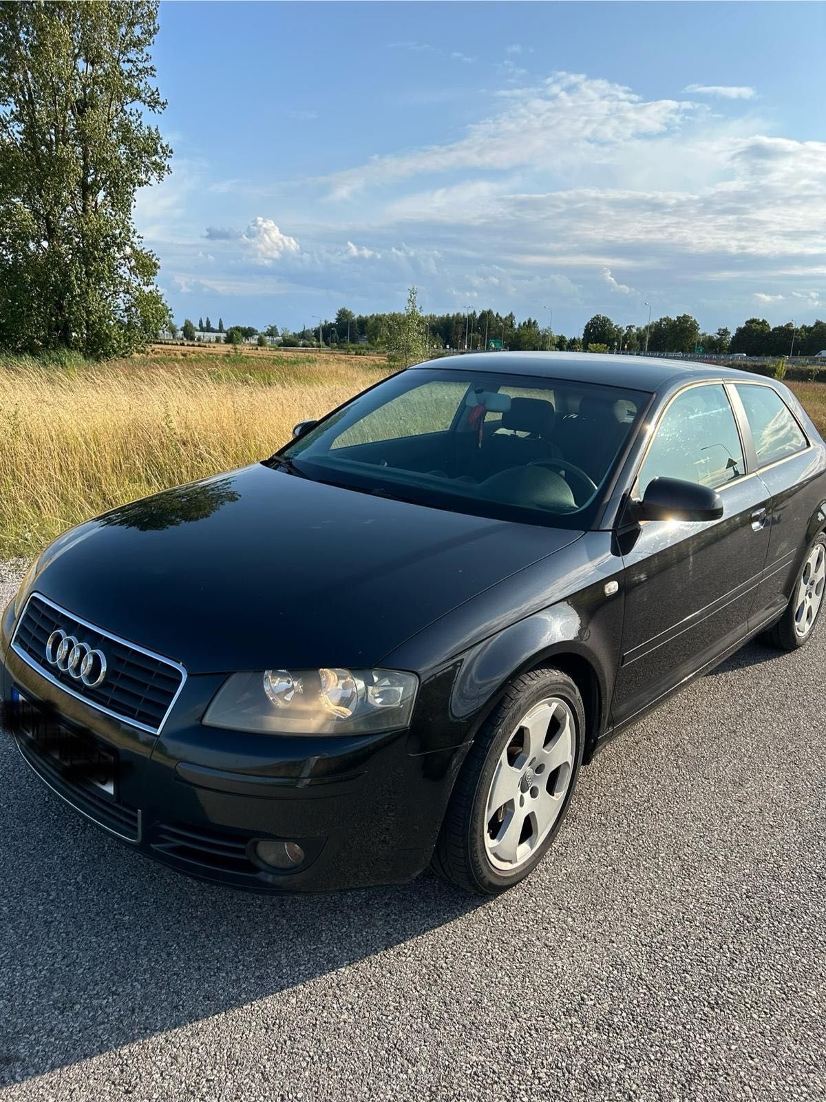 Audi A3 8P 1.6 MPI