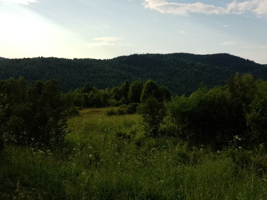 Pilnie sprzedam ZAWOJA Działka rolna. Inwestycja