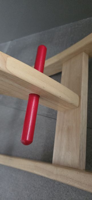 Konik na biegunach Pintoy Ideał