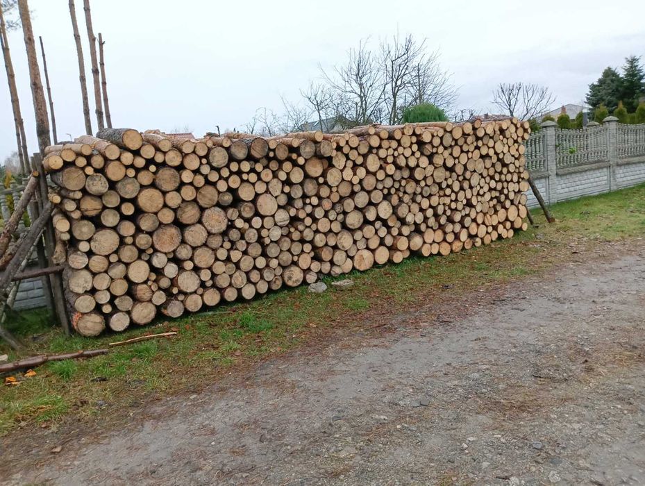 Drewno opałowe sosna