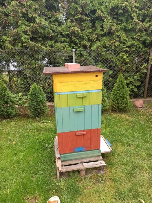 Sprzedam ule i pszczoły