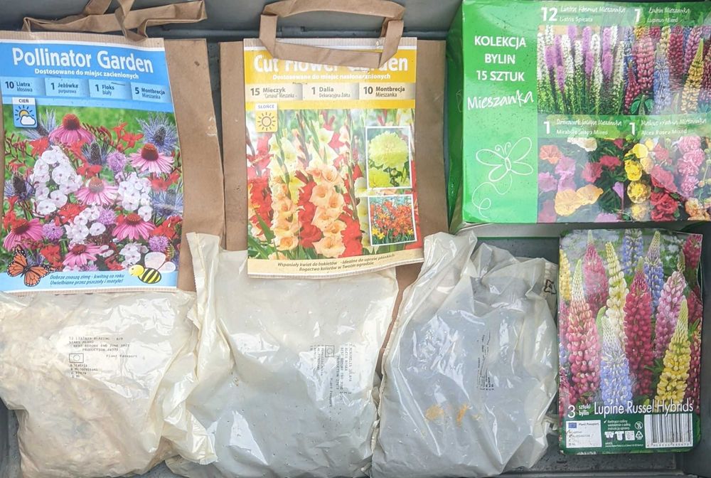 Cebulki mieczyki dalie frezje kanna byliny bulwy cebule mix 64 opakowa