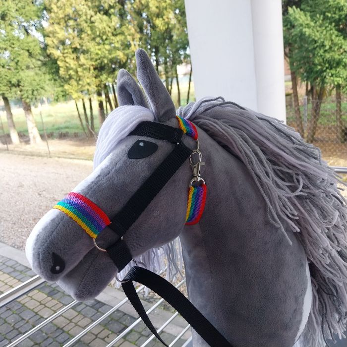 Hobby Horse-koń na kiju