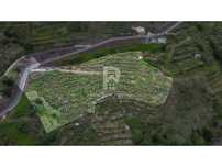 Terreno para 1ª habitaçao
