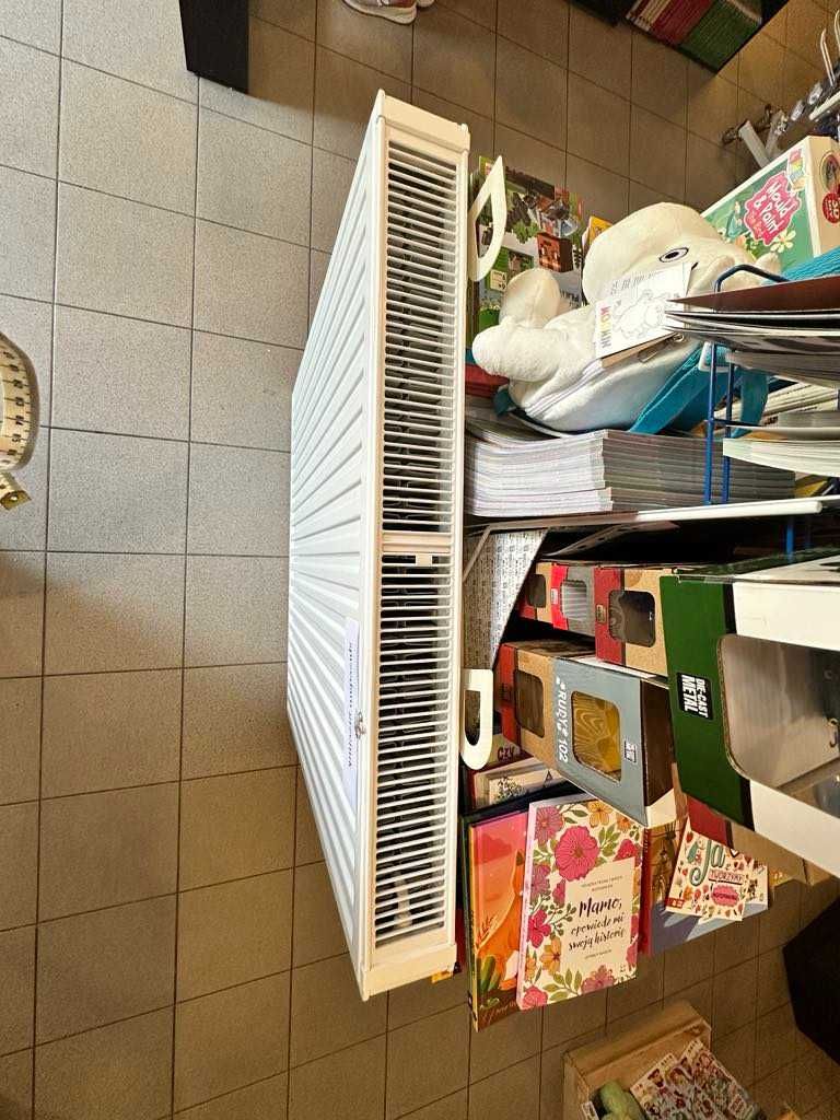 Grzejnik dwupłytowy z podłączeniem dolnym, biały