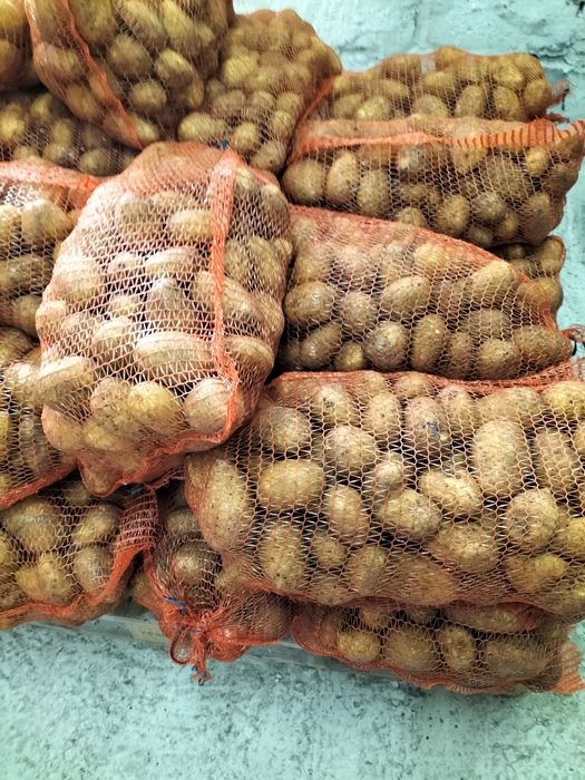 Ziemniaki Soraya Bella Rossa Mio Connect