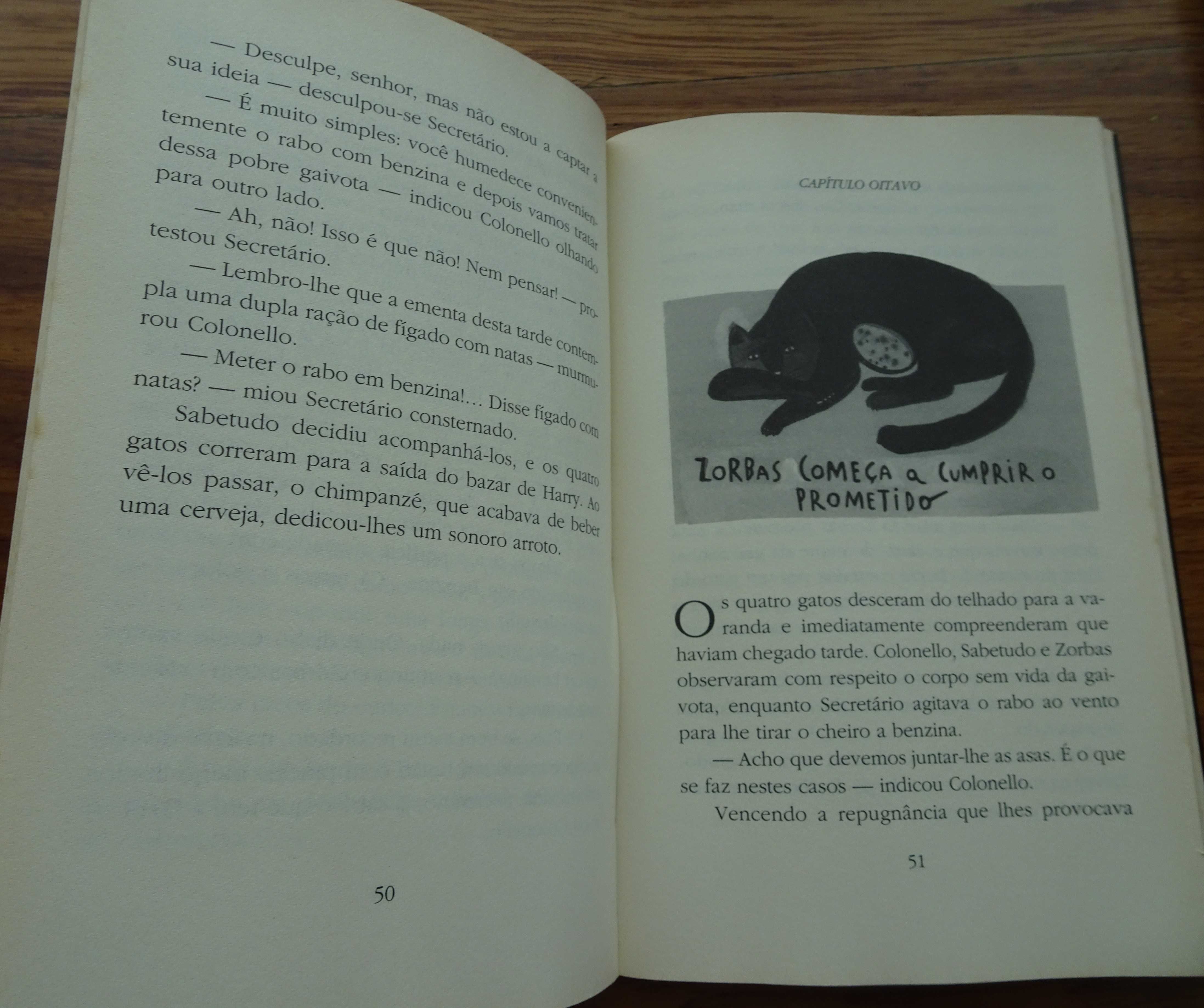 História de Uma Gaivota e do Gato Que A Ensinou A Voar