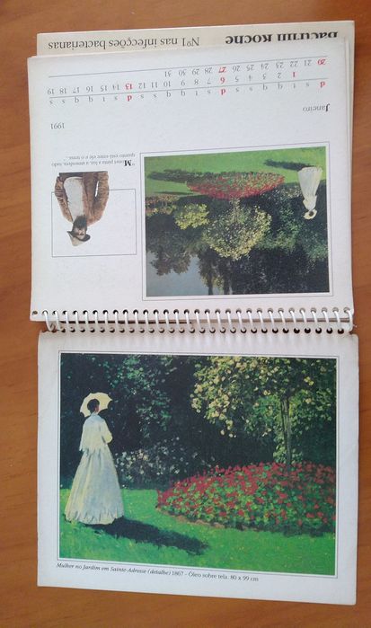 Calendário com 12 Pinturas - Arte de CLAUDE MONET