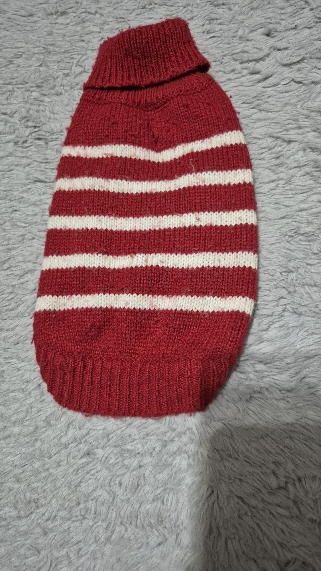 Sweter sweterek dla psa czerwony 25cm
