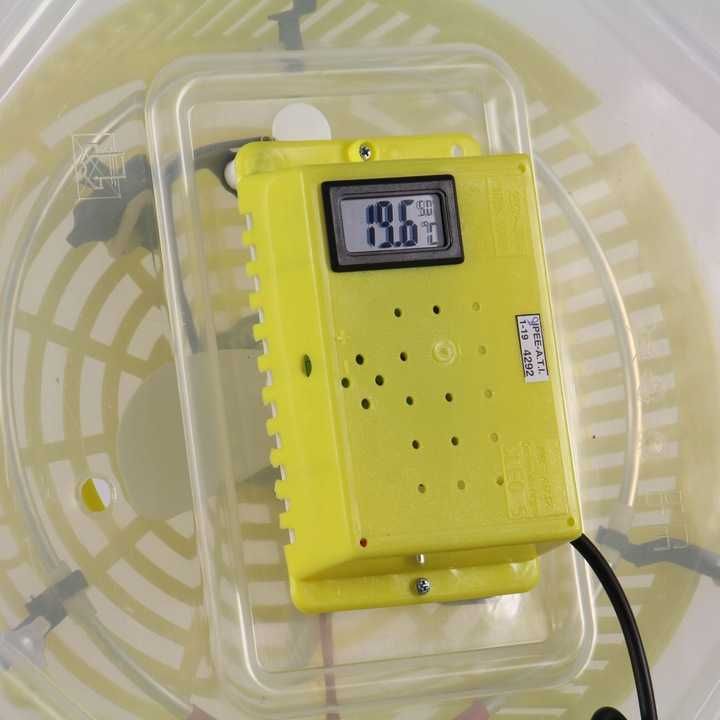 Inkubator lęgowy CLEO 5 z LCD i tacą półautomatyczną, zbiornik na wodę