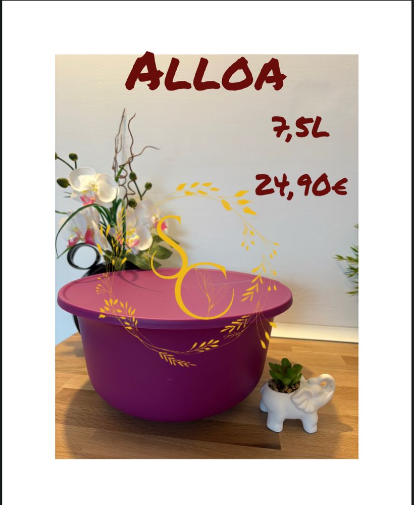 Alloa - tupperware