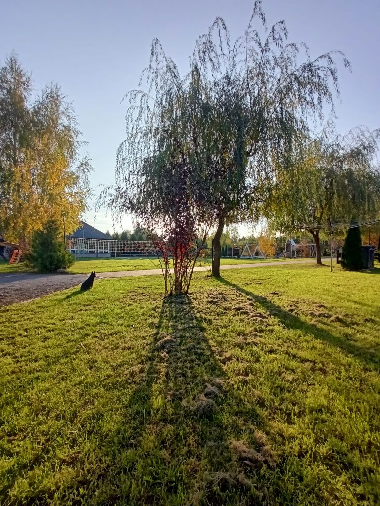 Domek apartament jezioro Okuninka