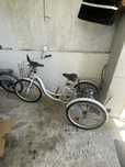 Triciclo elétrico adultos com cesto