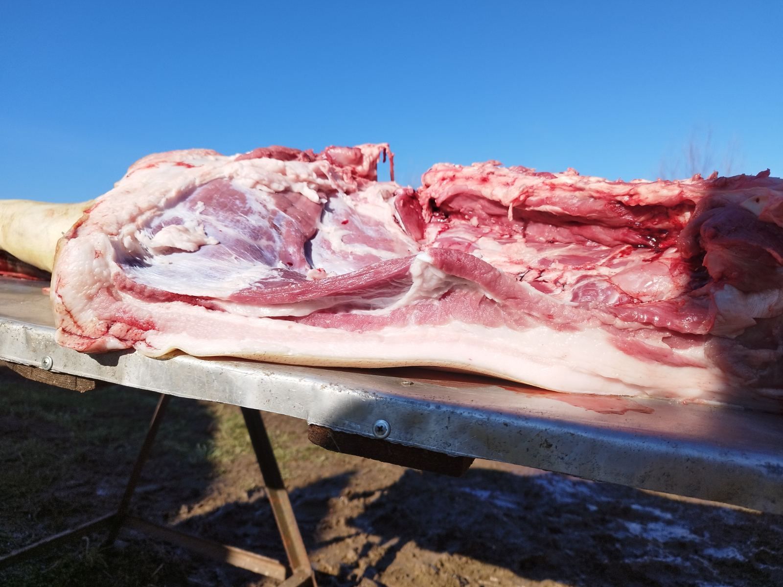 Продам м'ясо битов вагою