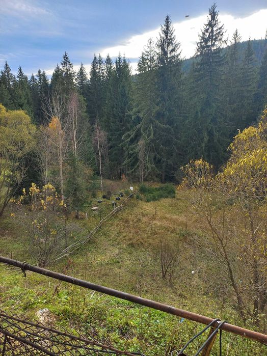 Продаж діючого кафе біля траси Долина–Хуст, с. Мислівка