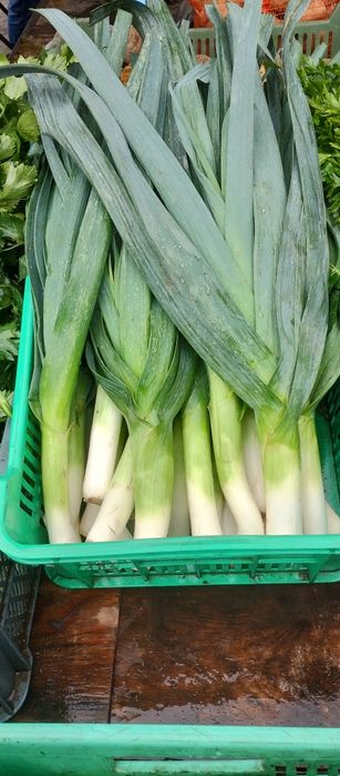 Kapusta Główki i inne Świeże Warzywa Prosto od Rolnika