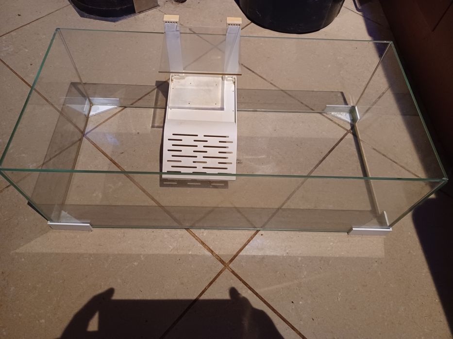 Tartarugueira em bom estado